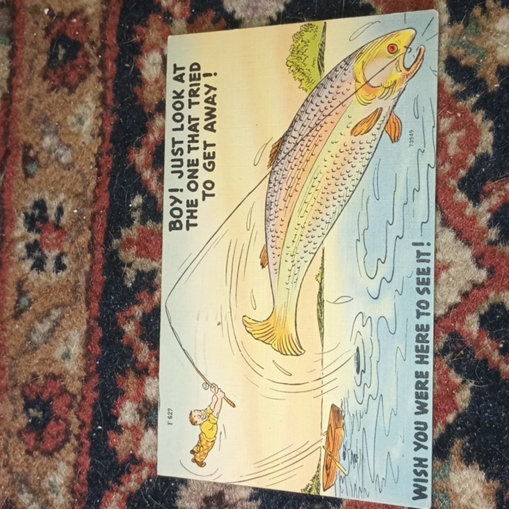 Old postcard exaggerated theme 1951